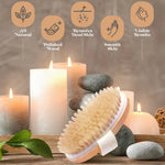 Natural Bristle Body Brush view 4