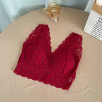 Lace Deep-V Bralette view 7